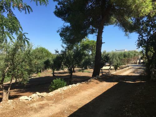 Riserva Ancelle
