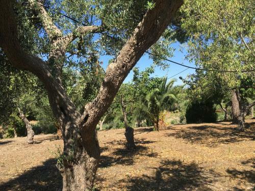 Riserva Ancelle