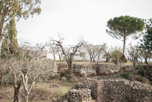 Riserva Ancelle