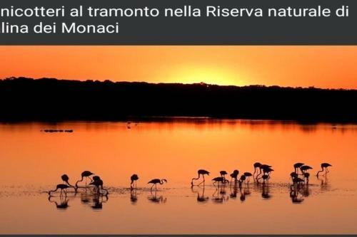 Apartamento Casa Salento