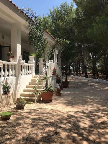 Villa Intera A Casa Noscia