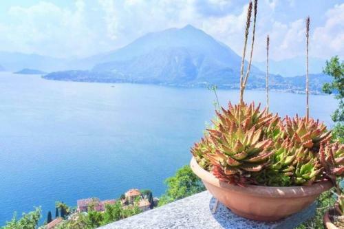 Apartamento Cipresso 7