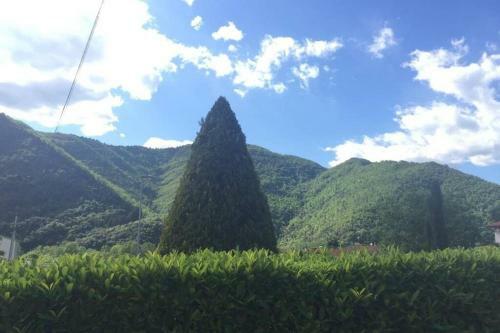 Apartamento La Casa Dei Nonni- Tuscany Countryside