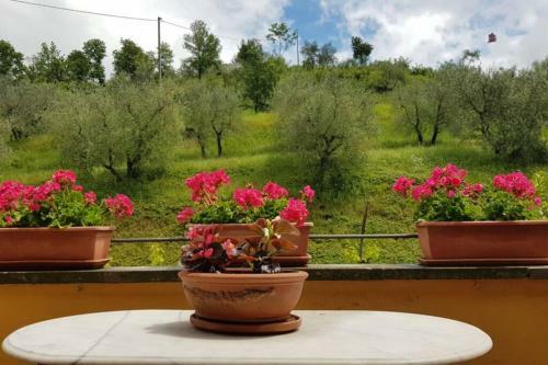 Apartamento La Casa Dei Nonni- Tuscany Countryside