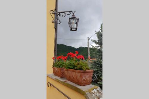 Apartamento La Casa Dei Nonni- Tuscany Countryside