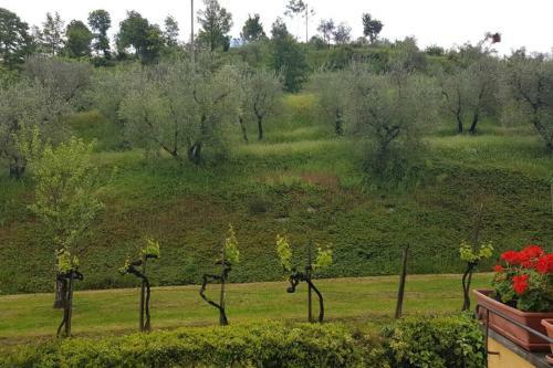 Apartamento La Casa Dei Nonni- Tuscany Countryside