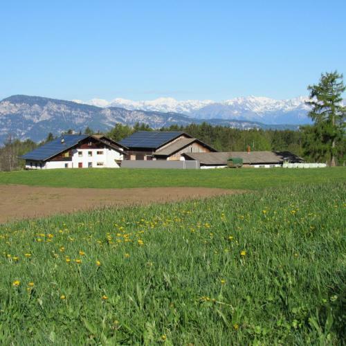 Apartamento Tielerhof
