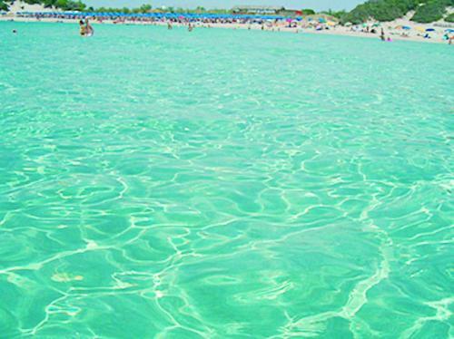 Punta Prosciutto Apartments To Rent