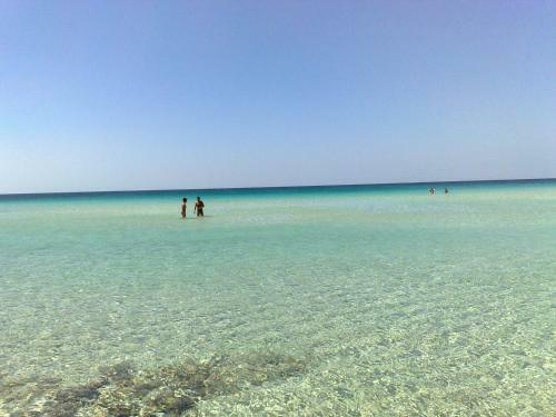 Punta Prosciutto Apartments To Rent