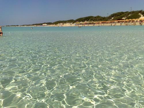 Punta Prosciutto Apartments To Rent