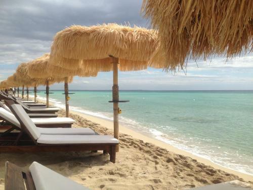 Punta Prosciutto Apartments To Rent