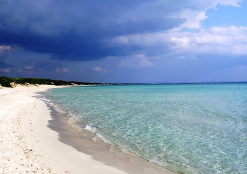 Punta Prosciutto Apartments To Rent
