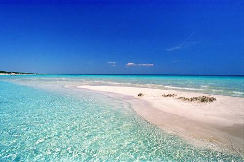 Punta Prosciutto Apartments To Rent