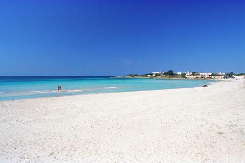 Punta Prosciutto Apartments To Rent