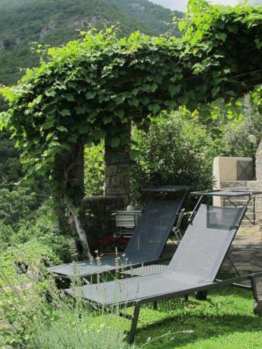 Bella Vista In Medieval Area