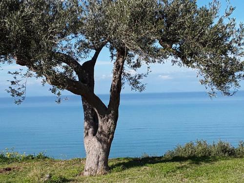 Colori Di Sicilia