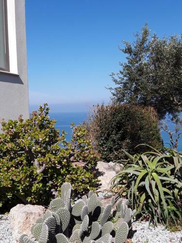 Colori Di Sicilia