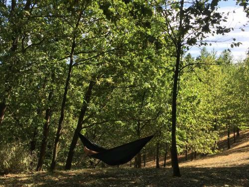 Agroturismo Tenuta Nissole