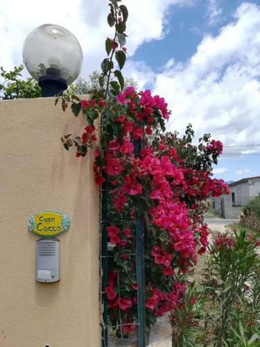 Apartamento Casa Cocco