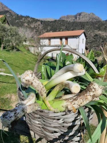 Agroturismo Agriturismo Grilla