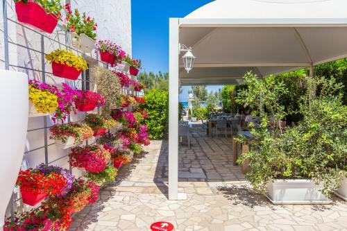 Casa Ginevra A 50mt Dal Mare