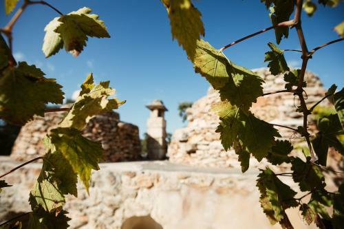 Trulli Dell'angelo