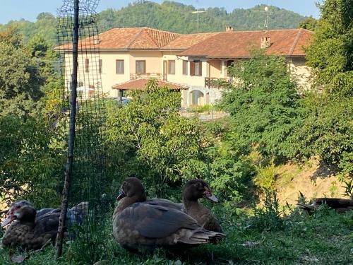 Hostal Come UNA Volta