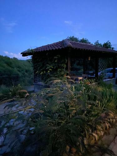 Hostal Come UNA Volta