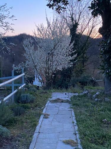 Apartamento Appartamento In Cascina