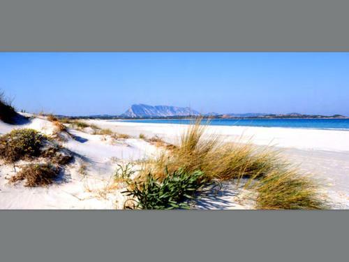Puntaldia Apartment Sea View