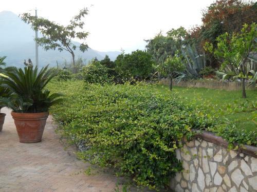 Bed & Breakfast Oasi Verde