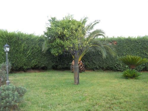 Bed & Breakfast Oasi Verde