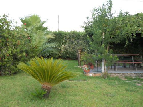Bed & Breakfast Oasi Verde