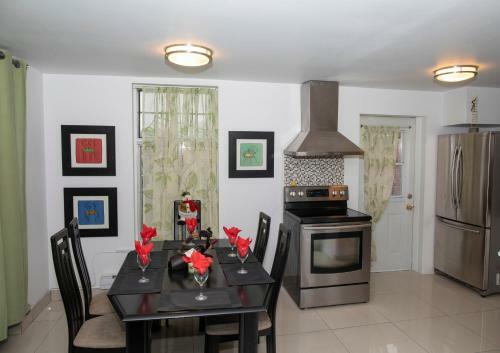 Modern Apartment Beautiful Location Mont Royal