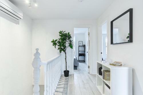 Apartamento Suites Ste-catherine