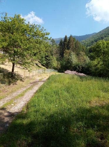 Apartamento Grigioperla