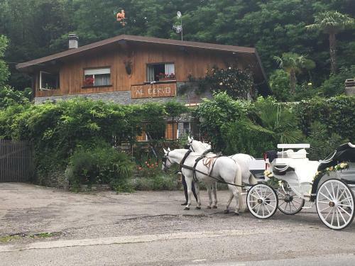 Bed & Breakfast Al Cervo Tra I Laghi