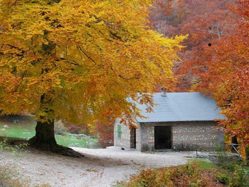 B&B Fiume