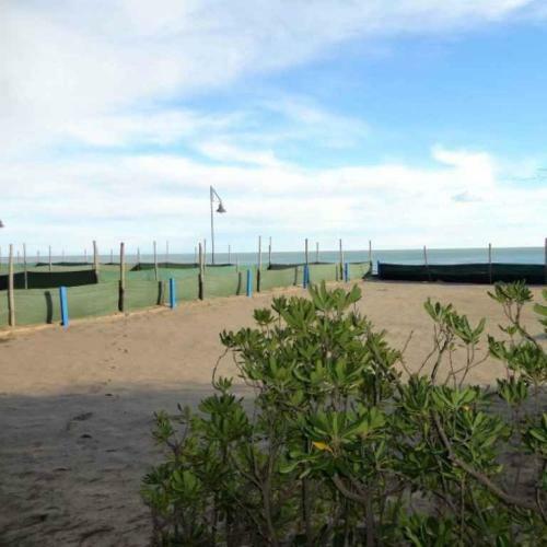 Apartamento Studio In Porto Santa Margherita 40176