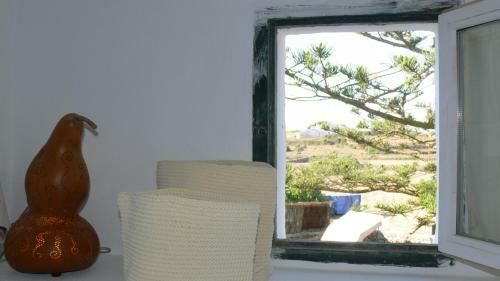 Finca Llimpet