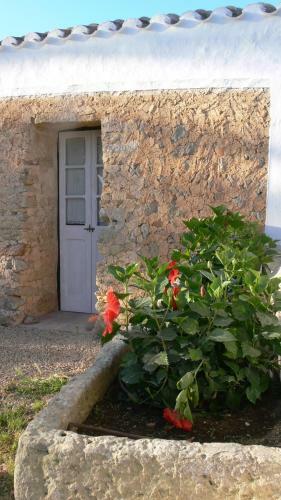 Finca Llimpet