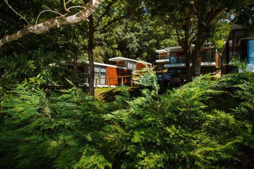 Bungalows Portuondo