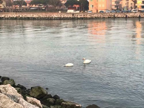 Apartments Porto Santa Margherita 40297
