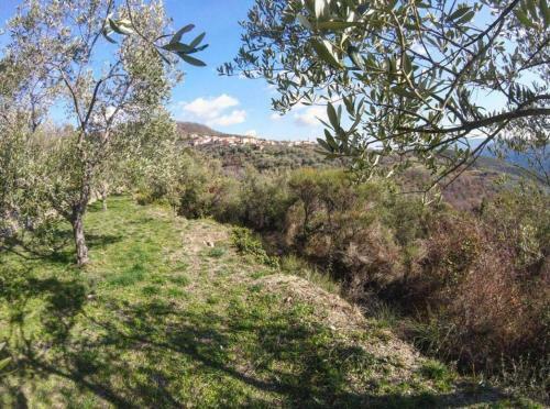 Apartamento Agriturismo In Ca' de Maria Di Conti