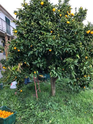 Apartamento Agriturismo In Ca' de Maria Di Conti