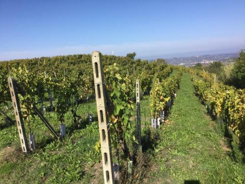 Orbregno Country Houses 11