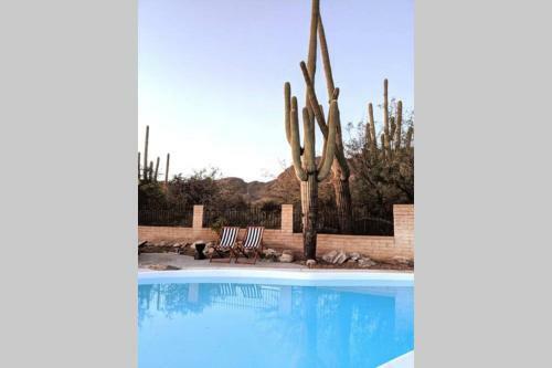 Desert Vibrations - A Private Retreat