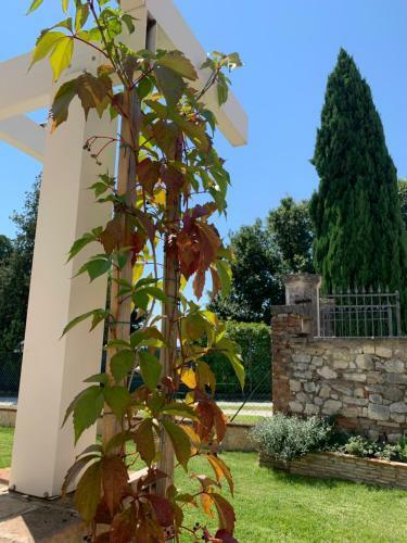 Bed & Breakfast Villavecchia