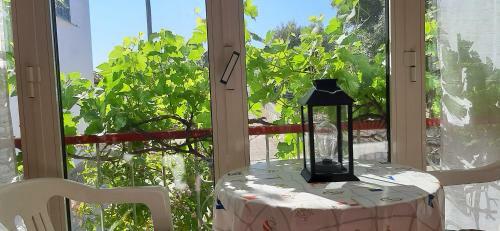 Apartamento Villa Franky