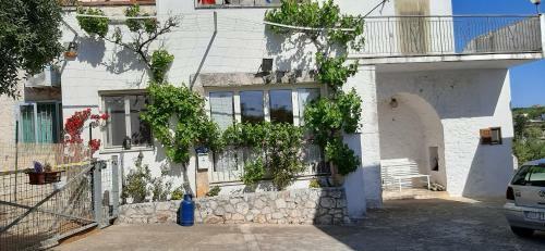 Apartamento Villa Franky